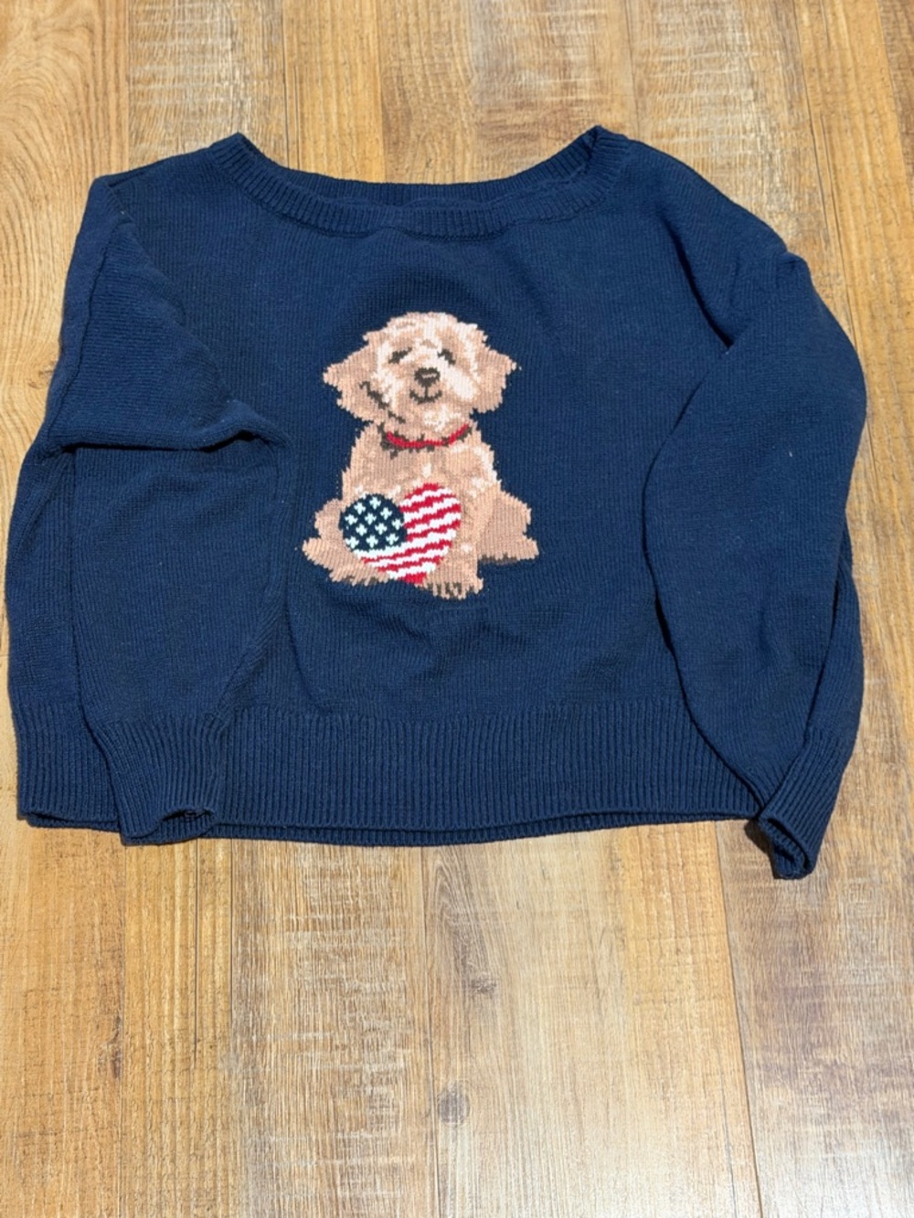 Hollister Navy Crewneck Sweater with Dog & American Heart